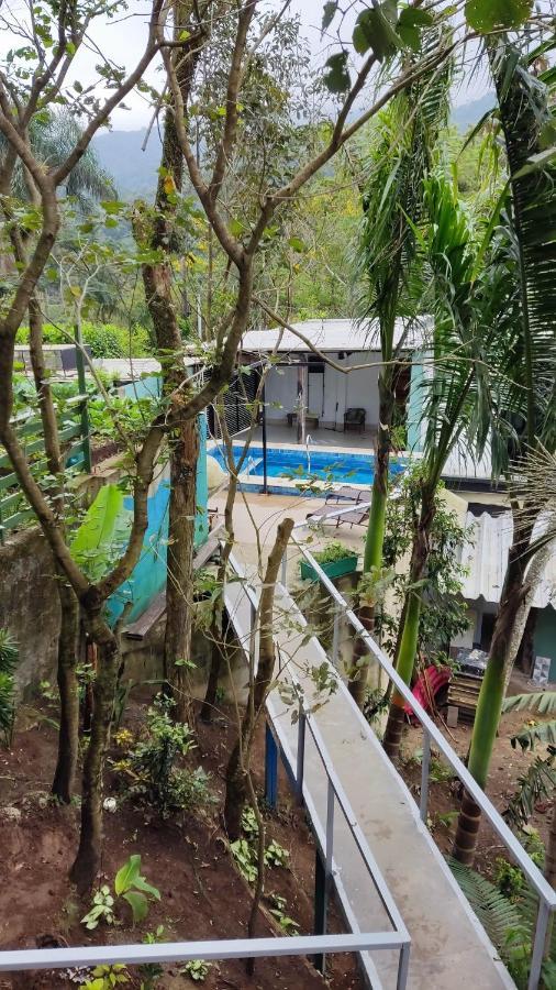 Canto Dos Passaros - Rio de Janeiro — Fotos 3